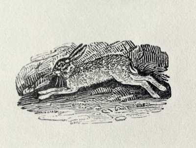 「イギリスの鳥と四足動物の歴史」のノウサギ 作： Thomas Bewick
