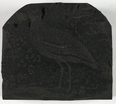 英国の鳥の歴史より、千鳥の木版画 作： Thomas Bewick