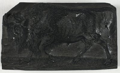 四足動物の一般的な歴史からのウルスまたは野生の雄牛の木版画 作： Thomas Bewick