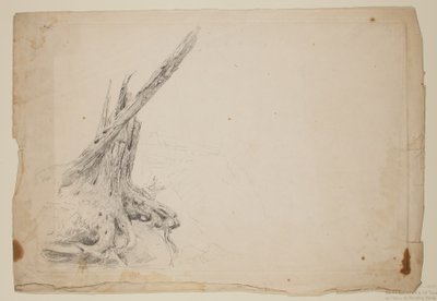 折れた木の幹（紙に鉛筆） 作： Thomas Cole