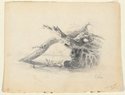 2 つの枯れ木のスケッチ 作： Thomas Cole
