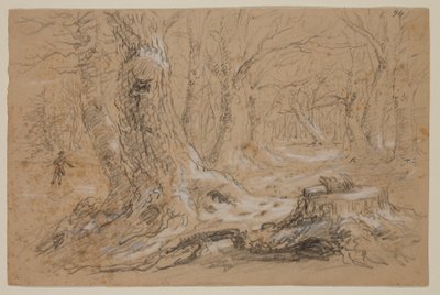 凍った小川に立つ男と冬の木 (紙に鉛筆とグワッシュ) 作： Thomas Cole
