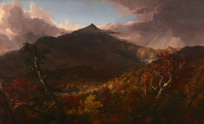 嵐の後のニューヨーク州エセックス郡シュローン山の眺め 作： Thomas Cole