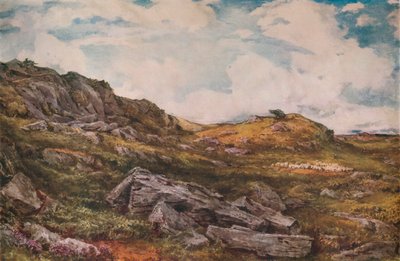 ブライスバラコモン、1888 作： Thomas Collier