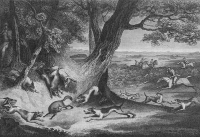 キツネの死、1793年。 作： Thomas Cook