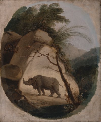 インドサイ 作： Thomas Daniell