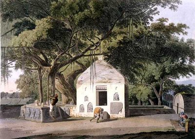 バハールのギャーにあるヒンドゥー教徒の聖なる木（「Oriental Scenery」より）。ヒンドゥースタンの24の風景」より 作： Thomas Daniell