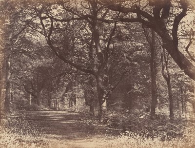 ウッドシーン、ノートン、チェシャー、1856年。 作： Thomas Davies