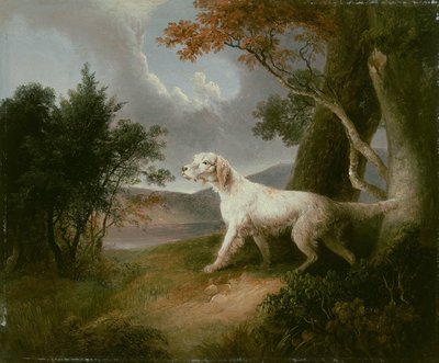 犬のいる風景 作： Thomas Doughty