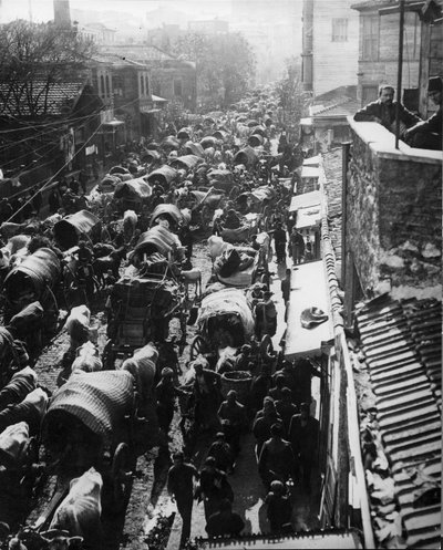 1909年トルコ革命の間にアジアへの船を待つ難民がコンスタンティノープルに流れ込む 作： Thomas E. and Horace Grant Grant