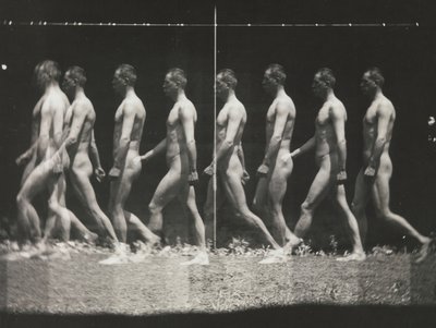 [Man Walking, Stroboscopic Photograph]、1880 年代、1930 年代から 40 年代に印刷、1880 年代に 1930 年代から 40 年代に印刷。 作： Thomas Eakins