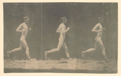正体不明のモデルのマレー ホイールの写真、1884 年。 作： Thomas Eakins
