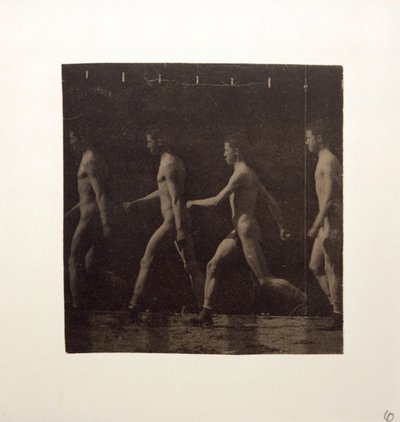マレー ホイールの未確認モデルの写真、c。 1884年。 作： Thomas Eakins