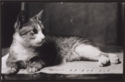  作： Thomas Eakins