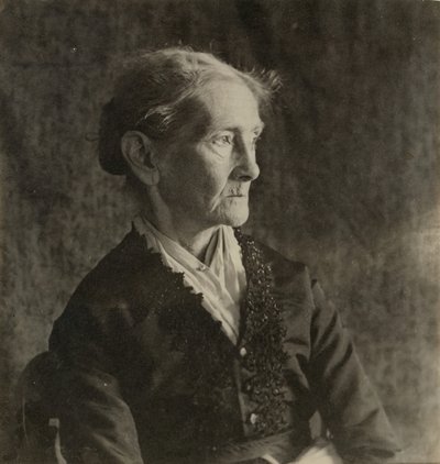 ウィリアム・H・マクダウェル夫人、c。 1880～1882年。 作： Thomas Eakins