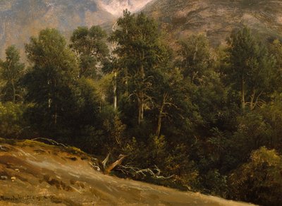 ロムスダールの森 作： Thomas Fearnley