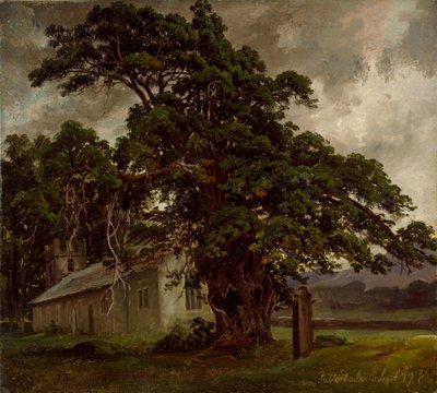  作： Thomas Fearnley