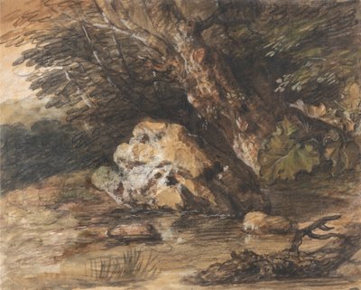 岩と植物のある森のプール 作： Thomas Gainsborough