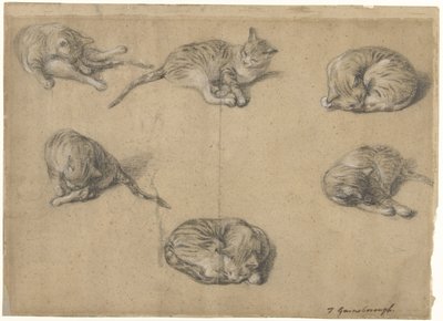 猫の6つの研究 作： Thomas Gainsborough