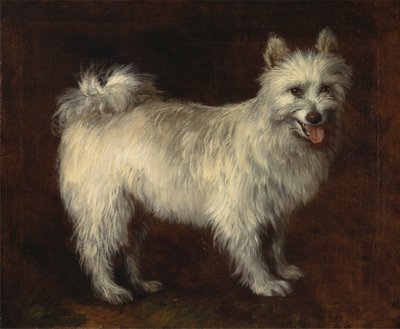 スピッツ犬 作： Thomas Gainsborough