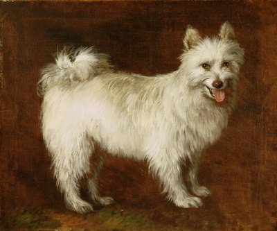 スピッツ犬、c.1760-70（キャンバスに油彩） 作： Thomas Gainsborough