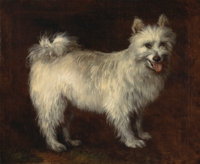 スピッツ犬 作： Thomas Gainsborough RA