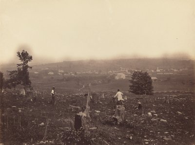 ウェイマート、c。 1863-1865。 作： Thomas H. Johnson