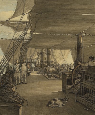 1775年、西インド諸島からの航海中のHMS「ディール・キャッスル号」の船内の様子。水彩画 作： Thomas Hearne