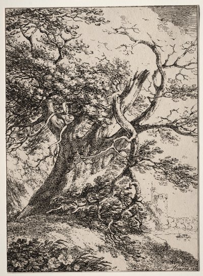Polyautography の標本: 樫の木のある風景 作： Thomas Hearne