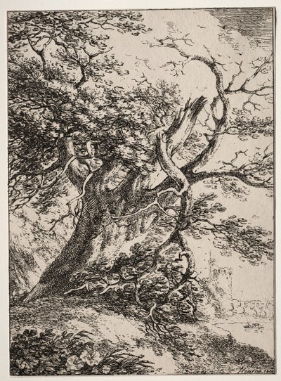 Polyautographyの標本：オークの木のある風景、1803。 作： Thomas Hearne