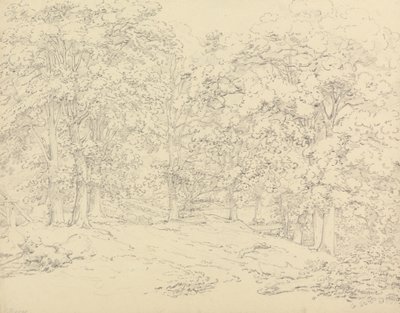 Árvores em Ashtead Park, Surrey 作： Thomas Hearne