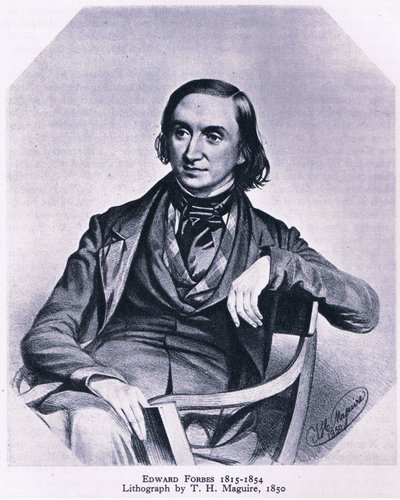 エドワードフォーブス（1815-1854）、イギリスの自然、コリンズ発行、1946 作： Thomas Herbert Maguire