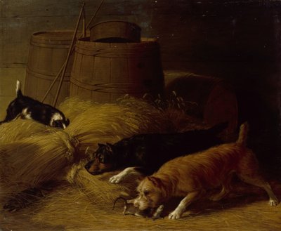 1851年、大麦の束の間のネズミ。 作： Thomas Hewes Hinckley