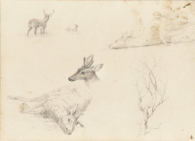 風景と動物の主題のスケッチブック、1860-64。 作： Thomas Hewes Hinckley