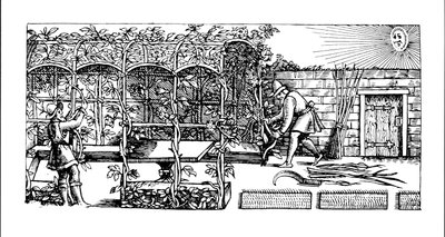1586年の「庭師の迷宮」から、日よけとして建てられたアーバー 作： Thomas Hill