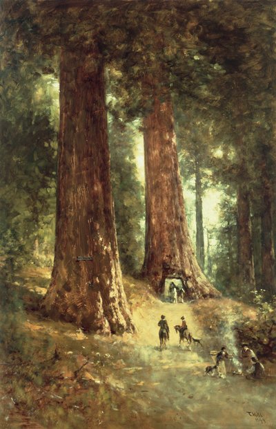レッドウッドでは、1899年 作： Thomas Hill