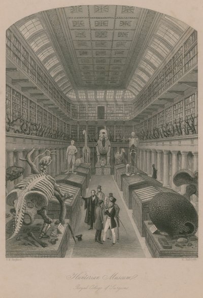 ハンテリアン博物館、王立外科医大学、ロンドン 作： Thomas Hosmer Shepherd