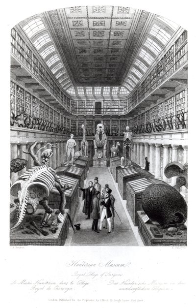 ハンター博物館、「ロンドンインテリア」のイラスト、エドワードラドクリフによって彫刻、1840年代頃 作： Thomas Hosmer Shepherd