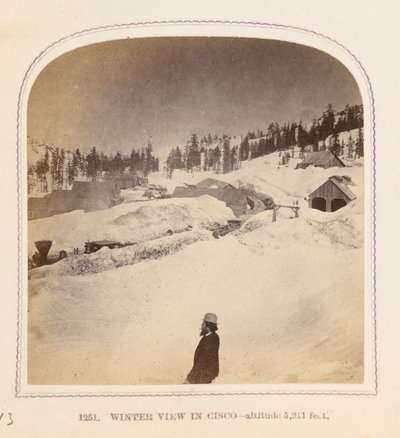 シスコの冬景色 作： Thomas Houseworth