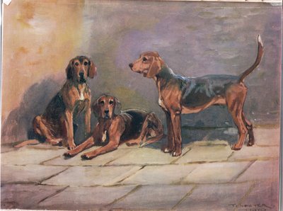 犬、「猟犬」のイラスト 作： Thomas Ivester Lloyd