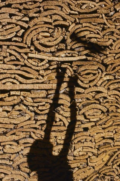 モロッコから輸出するコルクを積み上げる男の影 作： Thomas J. Abercrombie