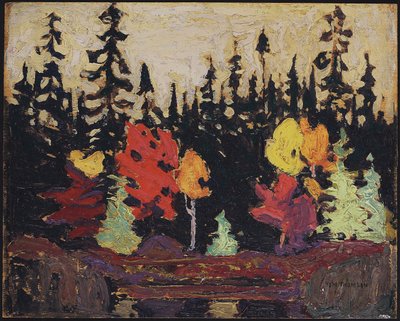 ブラックスプルースとメープル、1915年（木製パネルに油彩） 作： Tom Thomson