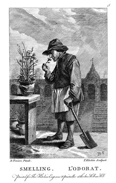 カーネーションやピンクのナデシコの臭いがする庭師、c1750 作： Thomas Kitchin