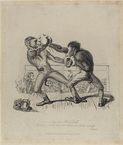 モンキー・ボクシング、モンキー・アナより 作： Thomas Landseer