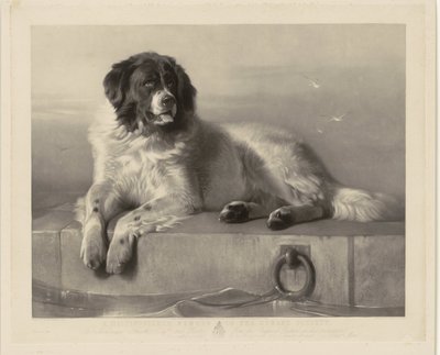 桟橋に横たわっている救助犬ボブの肖像 人道協会の著名なメンバー (オブジェクトのタイトル) 作： Thomas Landseer