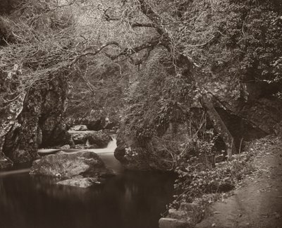 ダーグルホール、c。 1865年。 作： Thomas Marcus Brownrigg
