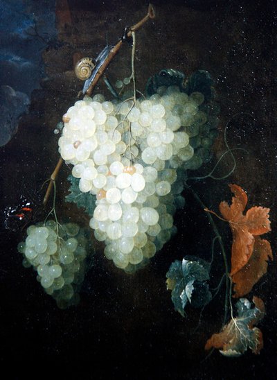 葡萄と赤提灯とカタツムリのある静物画 作： Thomas Mertens