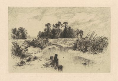 ニューアークメドウズで 作： Thomas Moran