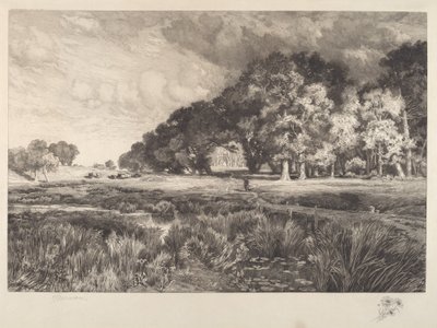 ロングアイランドの風景 作： Thomas Moran