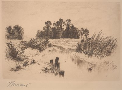 Passaic Meadows（ニューアークメドウズ内） 作： Thomas Moran